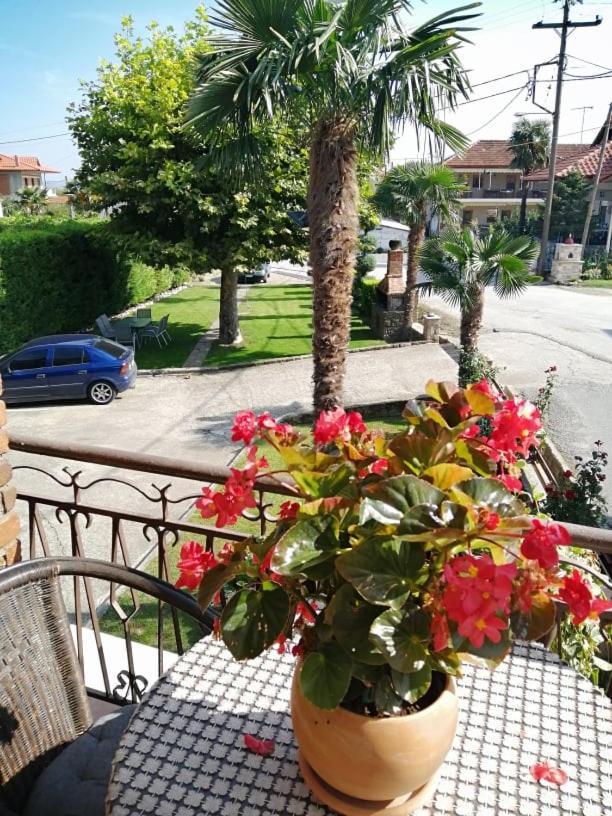 Guesthouse Athanasiou Káto Loutrákion Dış mekan fotoğraf
