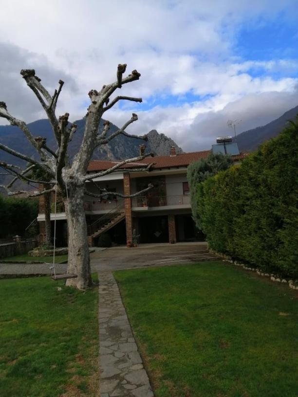 Guesthouse Athanasiou Káto Loutrákion Dış mekan fotoğraf